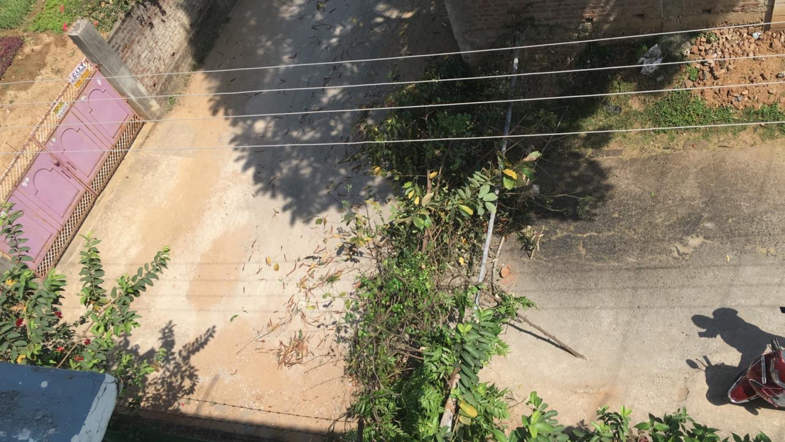 The fence outside my bedroom window in Ranchi made out of makeshift rods and bushes to restrict the movement of those coming in from the city. Photo: Srividya Balasubramanian